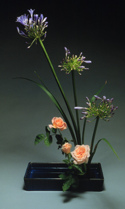 Ikebana - i18n L10n compliant message