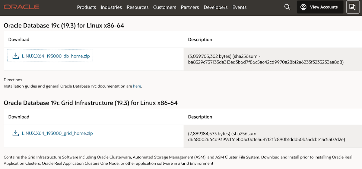 Installazione Oracle RAC 19c - Download OTN