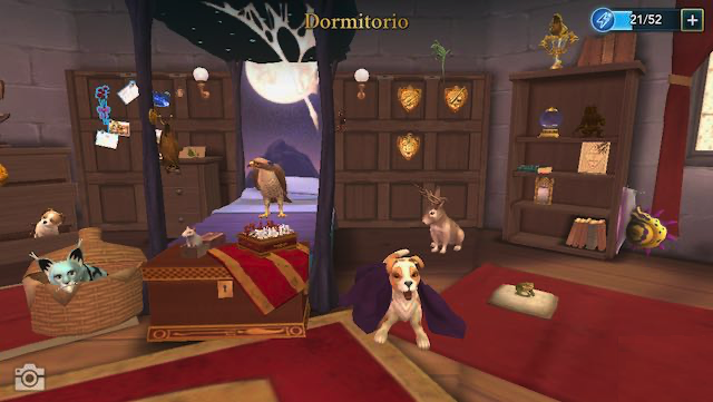 Hogwarts Mystery - Energy Spot - Dormitorio destra animali svegli